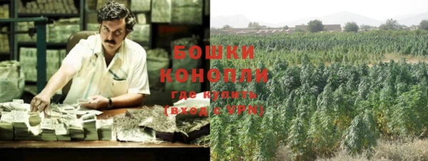 ПСИЛОЦИБИНОВЫЕ ГРИБЫ Алексин